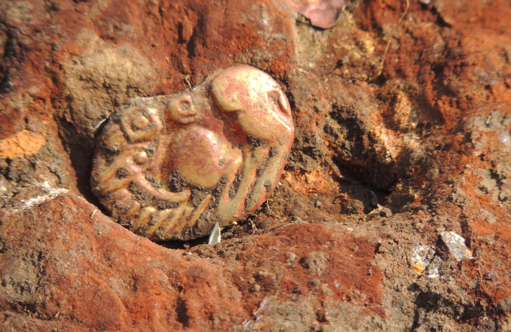 На розкопках в скіфському кургані Більського городища археологи знайшли 30 золотих виробів Bilsk-1