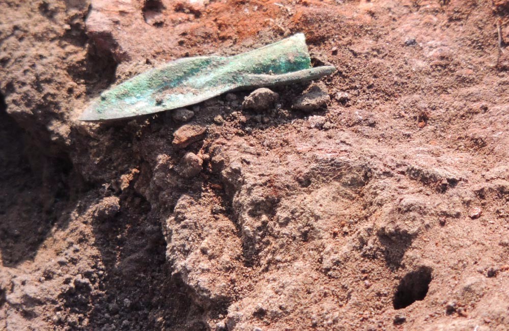 На розкопках в скіфському кургані Більського городища археологи знайшли 30 золотих виробів Bilsk-3