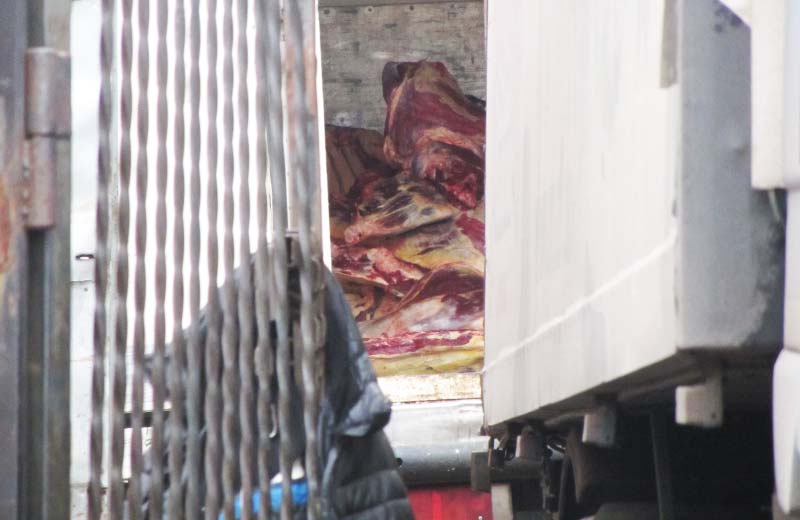 М’ясо у складському приміщенні біля будинків на вул. Раїси Кириченко, 29, 31 та 33