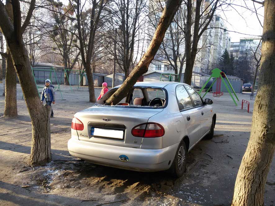 Падіння гілки дерева на автомобіль на вул. Великотирнівській