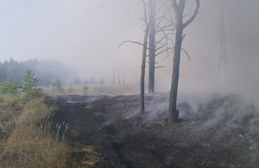 Пожежа у лісовому масиві Малоперещепинського лісництва