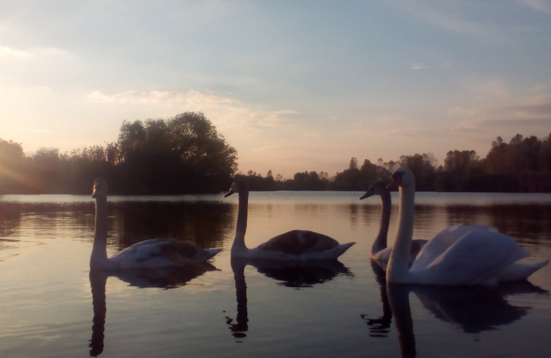 Річка Сухий Кагамлик в межах парку «Кагамлицький» у Кременчуці