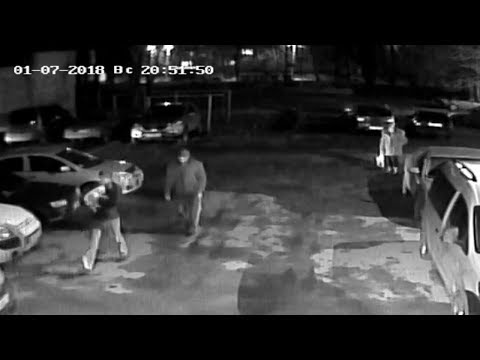 В Полтаве на Половках у девушки выхватили щенка лабрадора-ретривера (2017.01.07)