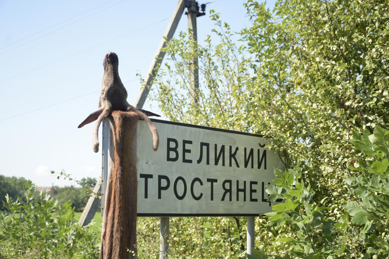 В середу вранці на в’їзді в село Щербанівської ОТГ місцеві жителі на вказівному знаку знайшли свіжу оленячу шкуру з головою