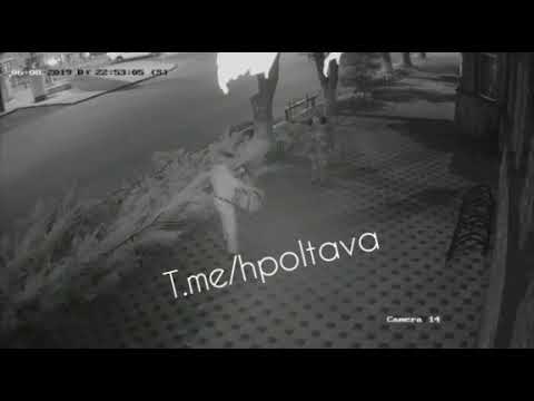 Напад на охоронця кафе «Ботанік» у Полтаві — 2 (2019.08.06)