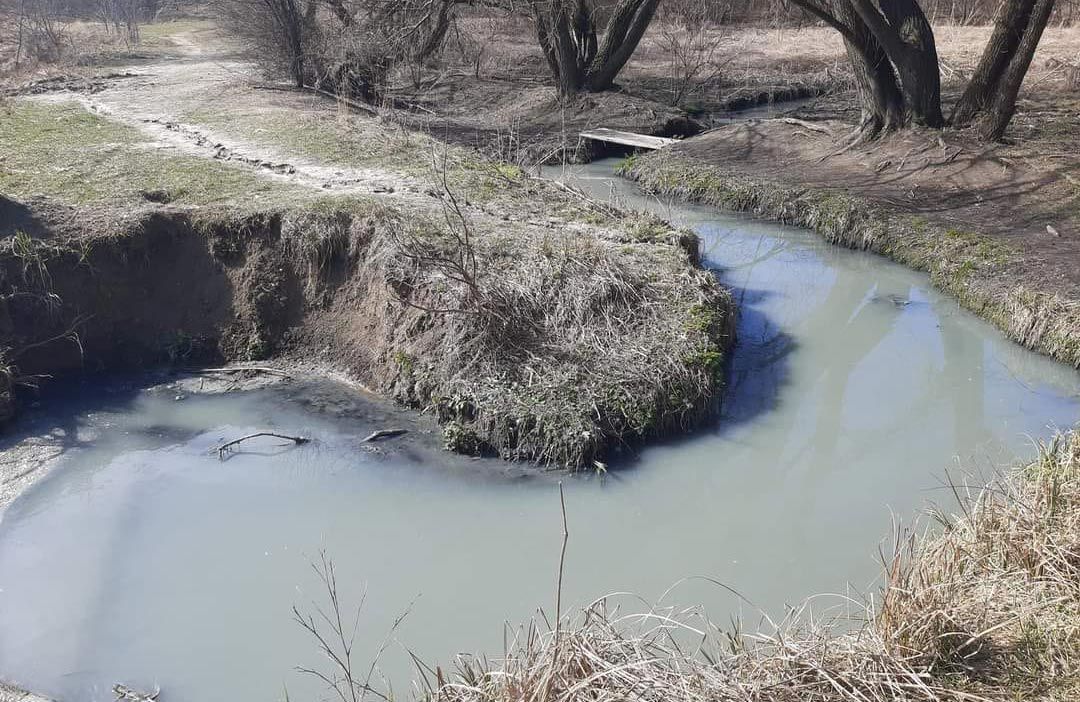 Забруденний нечистотами струмок, який тече до 4-го Пушкарівського ставка | Фото Сергія Савенкова