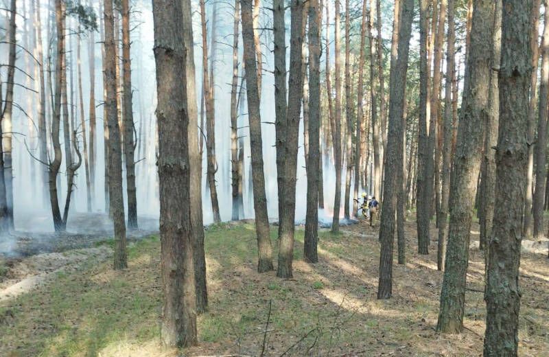 Фото: ДСНС Полтавщини