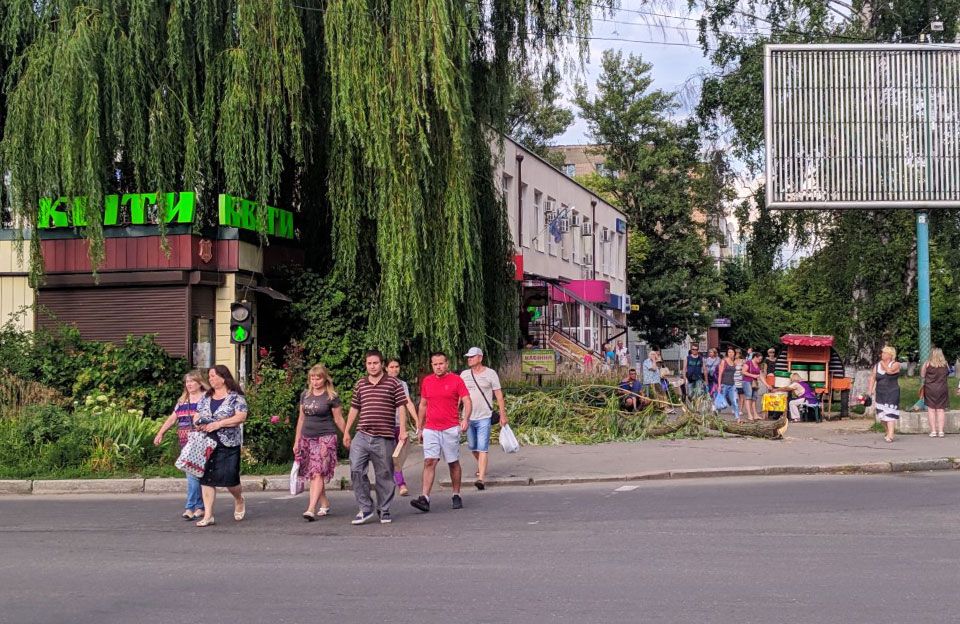 Падіння гілки верби на Мотелі у липні 2019 року | Фото Євгена Янкевича