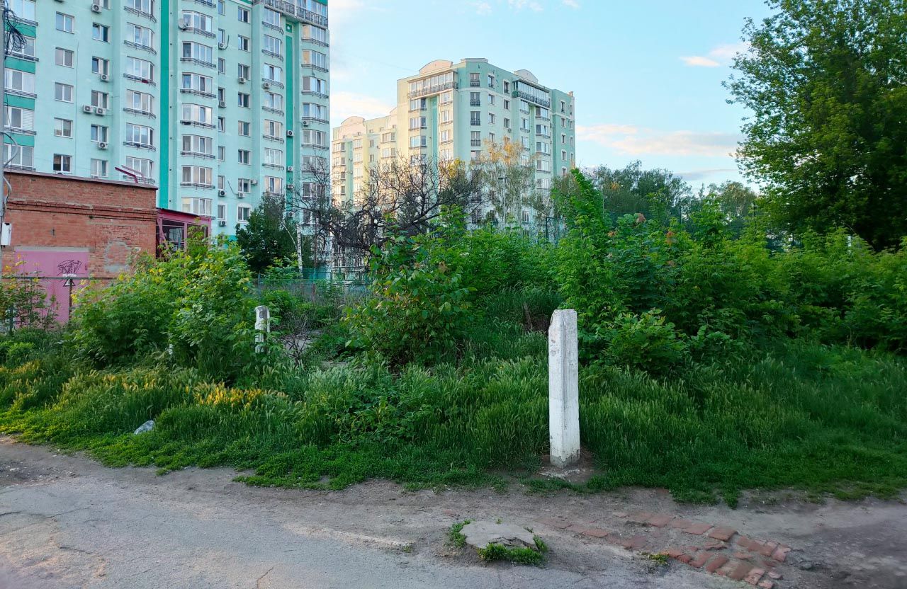 Хащі у Павленківському парку, де планується побудова ресторану вірменської кухні