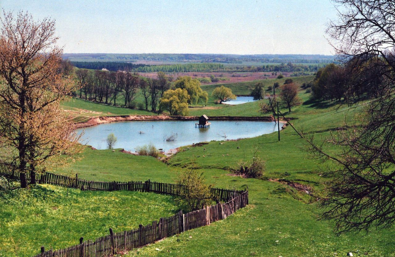 Христанівський ландшафтний заказник | Фото: DmitriyZinnik / wikimedia.org / CC BY-SA 4.0