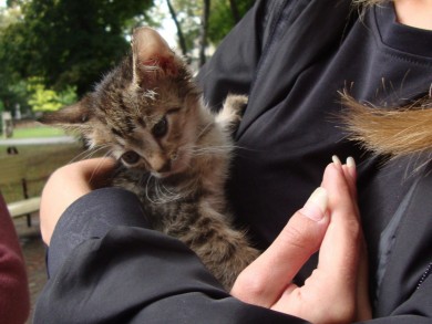 З новою мамою!