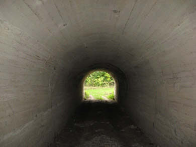 Туннель близ ст. Кочубеевка