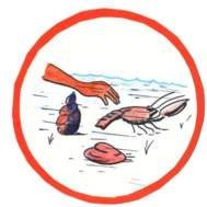 0024-033-Ne-lovi-rakov-i-dvustvorchatykh