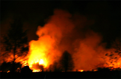 Пожежники Полтавщини шість годин гасили лісову пожежу
