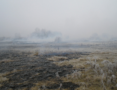 На Полтавщині майже тиждень гасили торф’яні пожежі