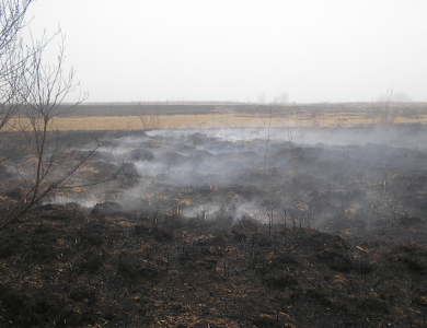На Полтавщині майже тиждень гасили торф’яні пожежі