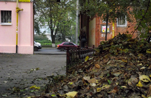 Коммунальщики Полтавы запрещают сжигать листья, но не убирают их