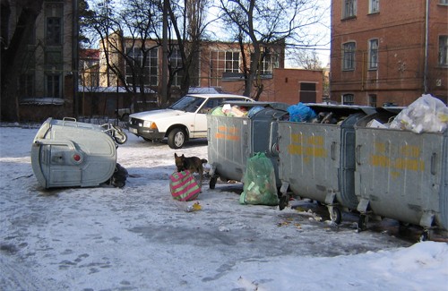 Контейнери для сміття у Полтаві на вул. Котляревського