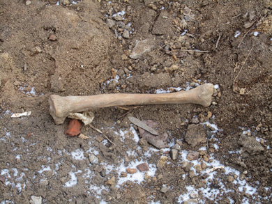 У Полтаві в котловані виявили прострелений людський череп