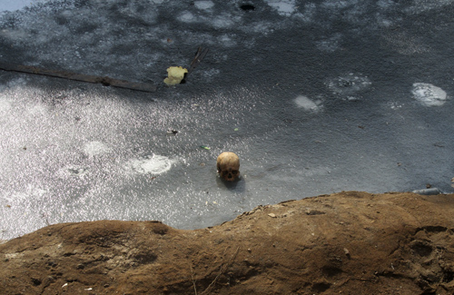 У Полтаві в котловані виявили прострелений людський череп