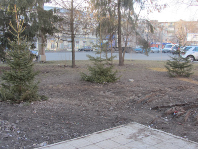 Вместо очередных киосков перед ТРЦ «Киев» появились елочки