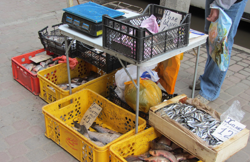 У Полтаві біля центрального ринку продають рибу з землі