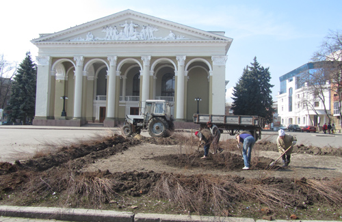 У Полтаві перед театром Гоголя висаджують кущі спіреї
