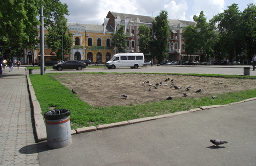 Клумби перед театром ім. М. Гоголя, звідки прибрали кущі спіреї