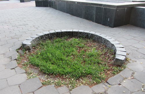 Могила Котляревского в Полтаве стоит в полуразобранном состоянии