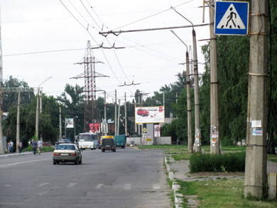 Зебры на улице Зеньковской