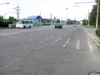 Зебры на улице Зеньковской