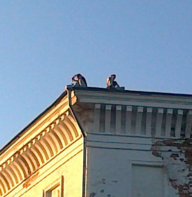 Школьники забросали прохожих камнями с крыши Кадетского корпуса