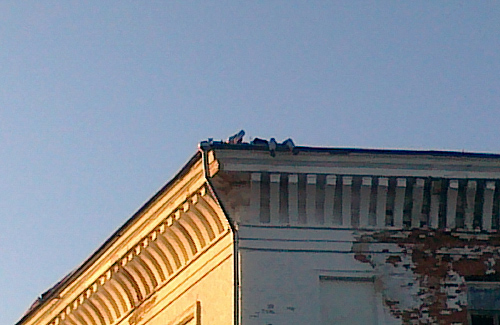 Подростки на крыше Кадетского корпуса