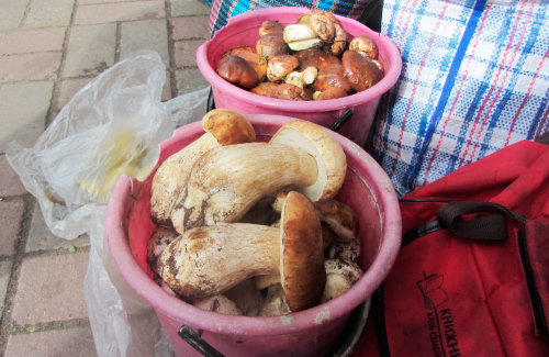 Белые грибы в Полтаве продают по 50 гривен за ведро