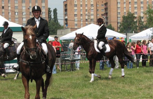 Кінно-спортивне свято у Полтаві