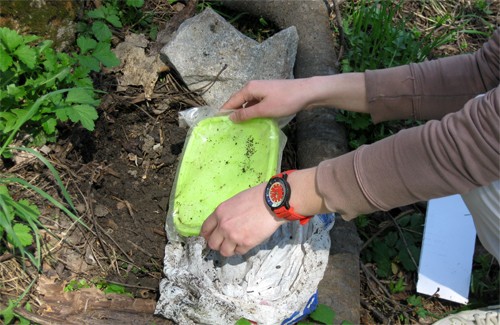 Знайдений «скарб» в Зіньківському районі
