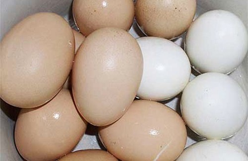 На ринках Полтавщини дешевшають яйця