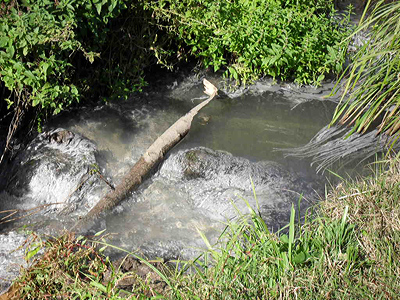 Полтавским прудам угрожает экологическая катастрофа