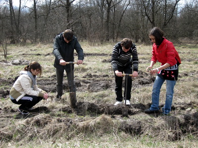 Полтавські студенти посадили 2 гектари лісу