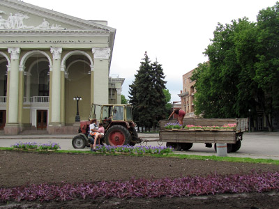 Перед театром им. Гоголя высаживают цветы