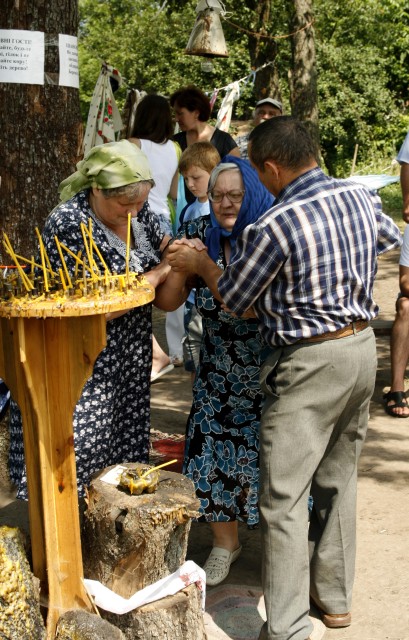У селі Старицьківка Машівського району на зрізі старої груші проявився образ Пресвятої Богородиці