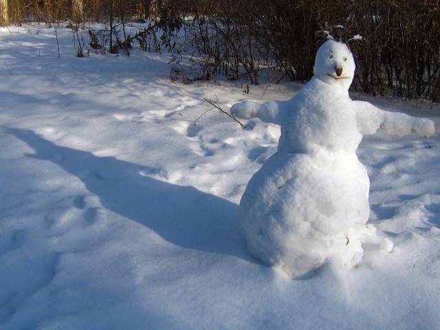 Сніговик посеред Дендропарку