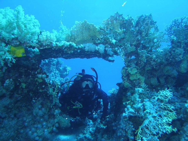 Коралловые сады