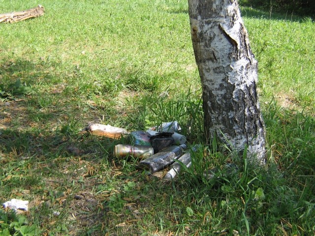 Груда бутылок под деревом — типичная картина
