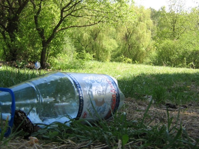 После праздников в Дендропарке осталось очень много пластиковых бутылок