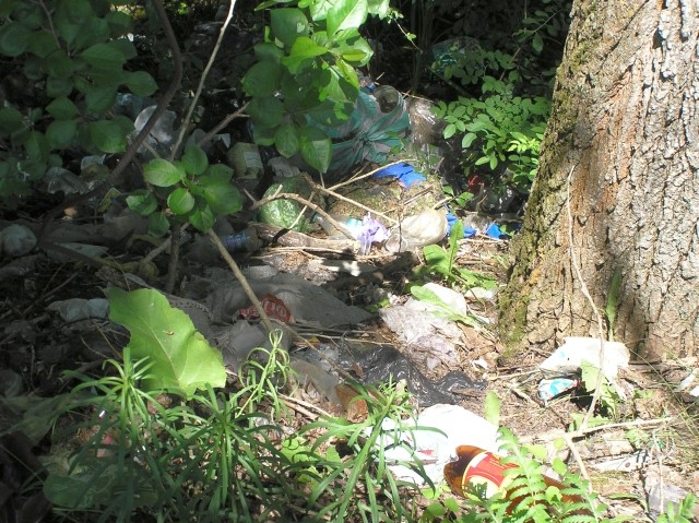 Стихийная свалка мусора возле Воронина