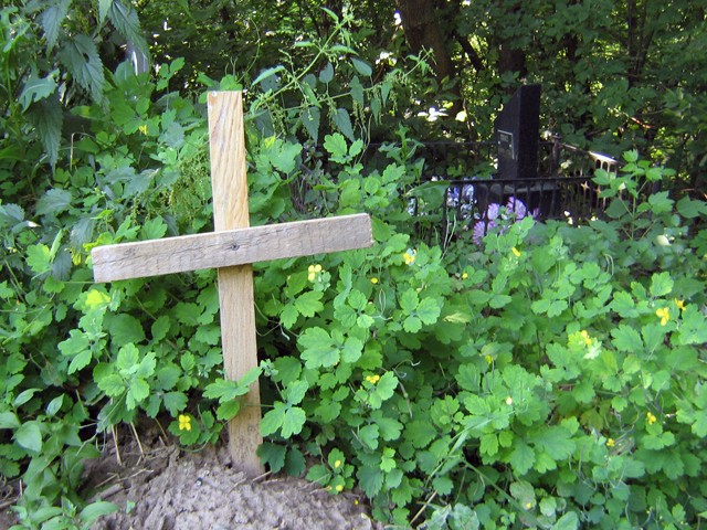 Почему-то некоторым питомцам хозяева ставят на могилках кресты
