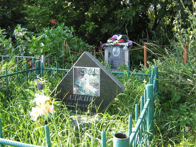Ряды могилок на кладбище домашних животных
