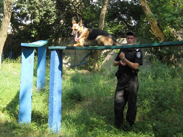 Охоронець та собака Олла
