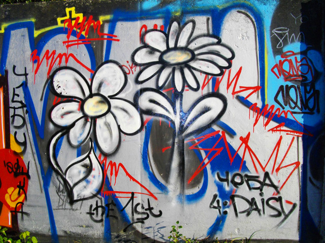 Квіти, що ростуть на бетонній стіні